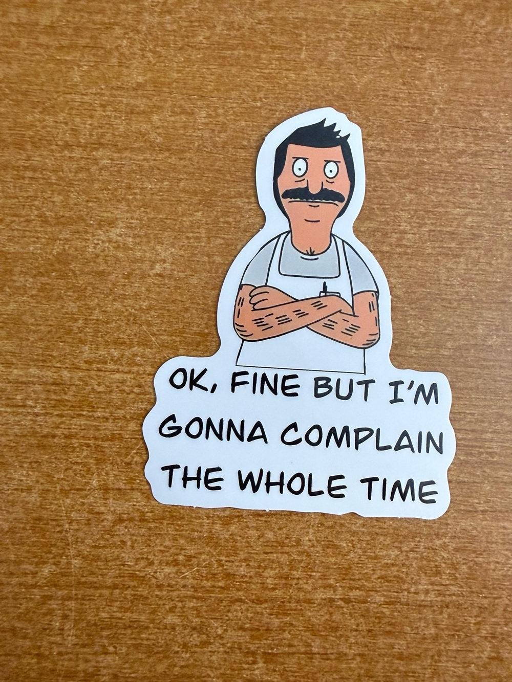 Novelty‎ 'OK, Fine But I'm Gonna Complain The Whole Time' White Sticker